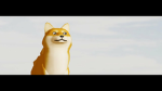 doge h