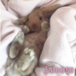 ୨ jalouse ୧