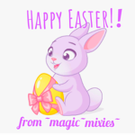 ~magic~mixies~