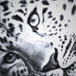 ⋆ ˚ ⭐︎ ｡ ⋆