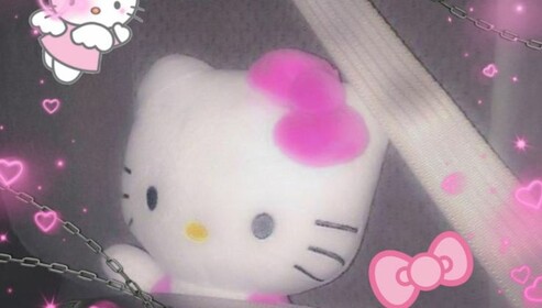 kitty chamber