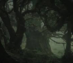 Black Raven Coven