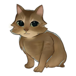 this cat loves games