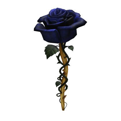 Blue & Gold Rose