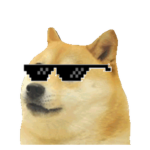 The Epic Doge Academy