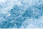 Freeze gang