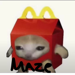 el gato maze !