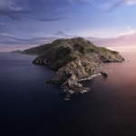 LIghtingtiger_2012