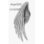 4ngel$$$
