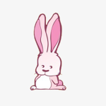 BunBuns Fan Group