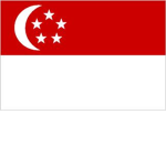 the roblox amry of singapore