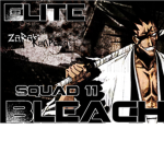 Bleach:Gotei Squad 11
