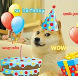 HAPPY BIRTHDAY DOGE!