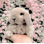 Roblox Bunny Army