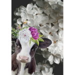 Cow squad MOOO!!!!