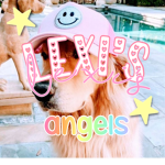 - Lexi’s Angels! -