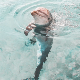 🌊