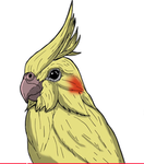 All Bird’s Gang