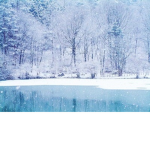 W | Winter Family