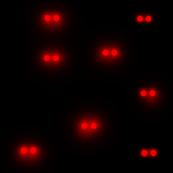 Neighbourhood Watchers