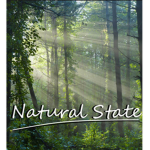 Natural State