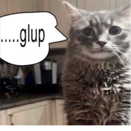 gup