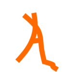Aeropia