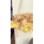 Catastic Squad