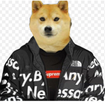 epic pug gang