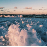coconut sea foam