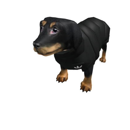 adidas Big Dog Dachshund Roblox Item Rolimon s