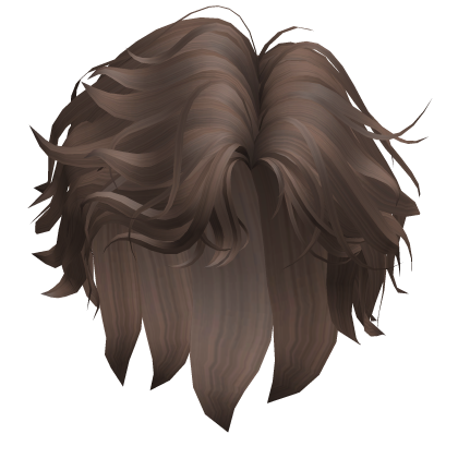 Brown Wavy Boy Hair Roblox item
