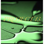 ~PROJECT 13~