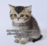 i cried