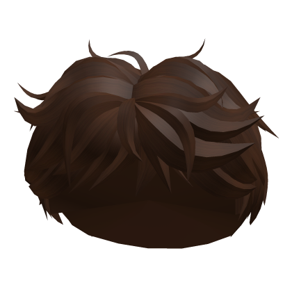 Brown Fluffy Boy Hair Roblox item