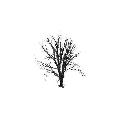 Realistic Tree