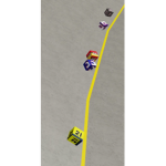 NASCAR Big’s Sim Series