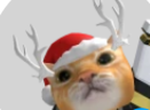 StronkCanada Merch And Groupwall