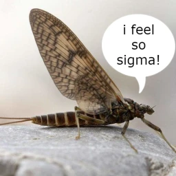 dolania americana mayflies icon