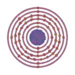 Praseodynium Interactive