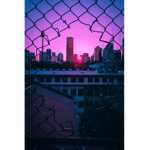 Anomalyte’s Fan Group