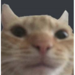 _TIK_CLUB_