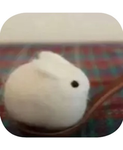 Mimii~