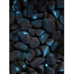 blub's gang