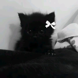 *' ^ '*