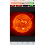 Florida Suns
