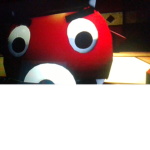 Andy cool piggy