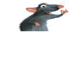 A beautiful rat fan group