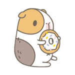 Guinea Pig Brothers