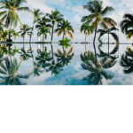 lets chill together